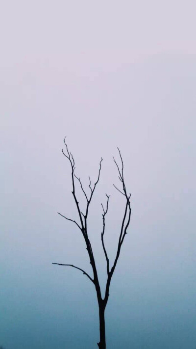 孤独