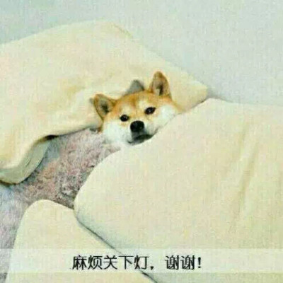 麻烦帮我关下灯