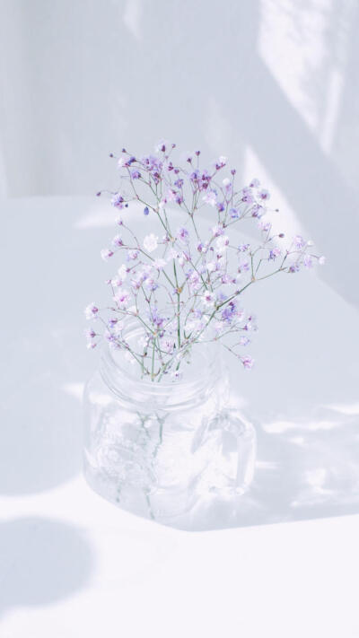 壁纸～花朵