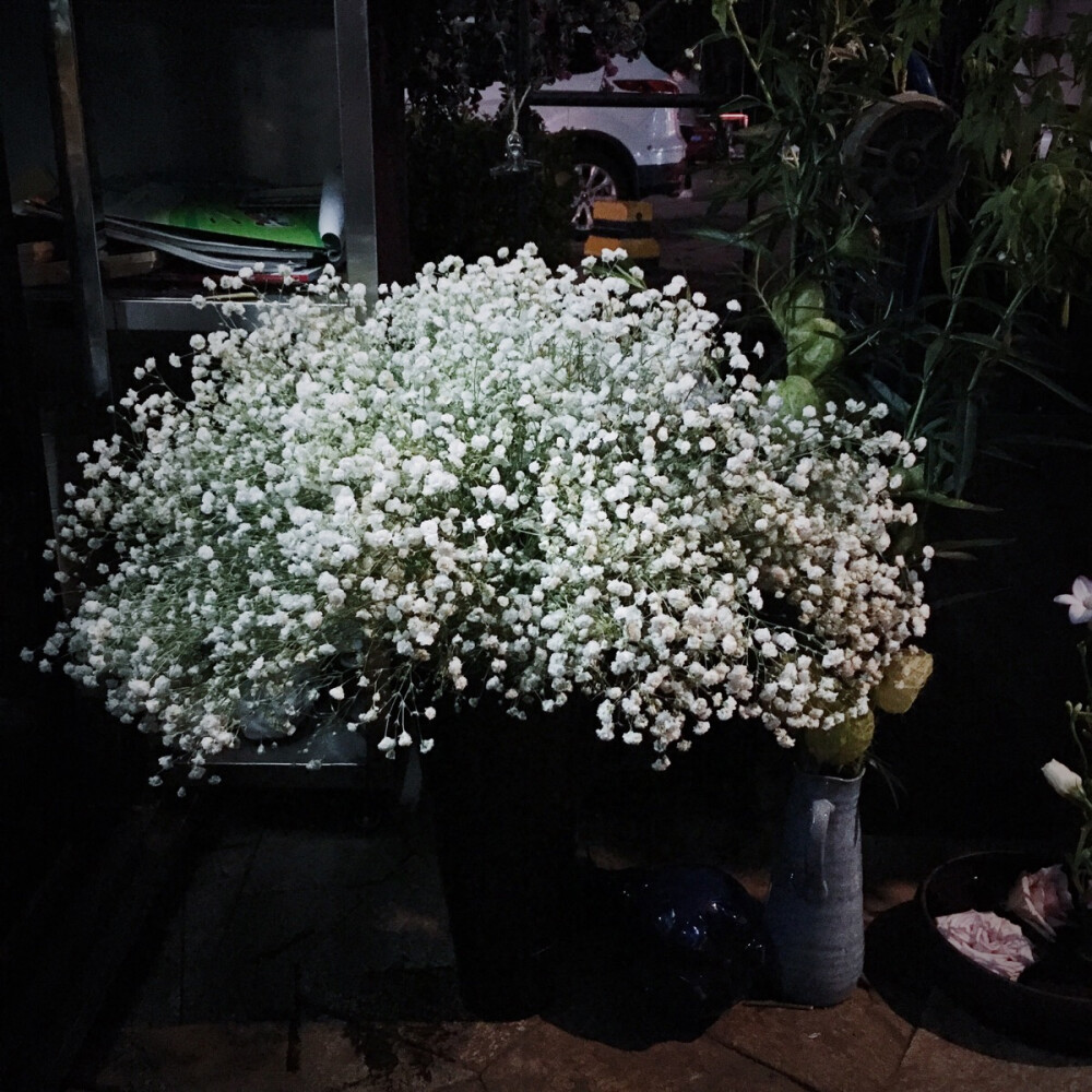 晚上的一大团满天星,总让人有种软绵绵甜丝丝的幸福感.