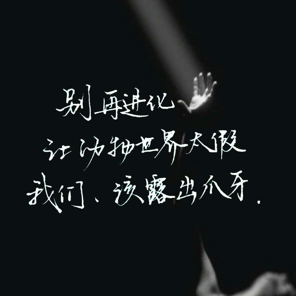 薛之谦动物世界