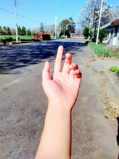 爪子一只,我的小手(ò ó)