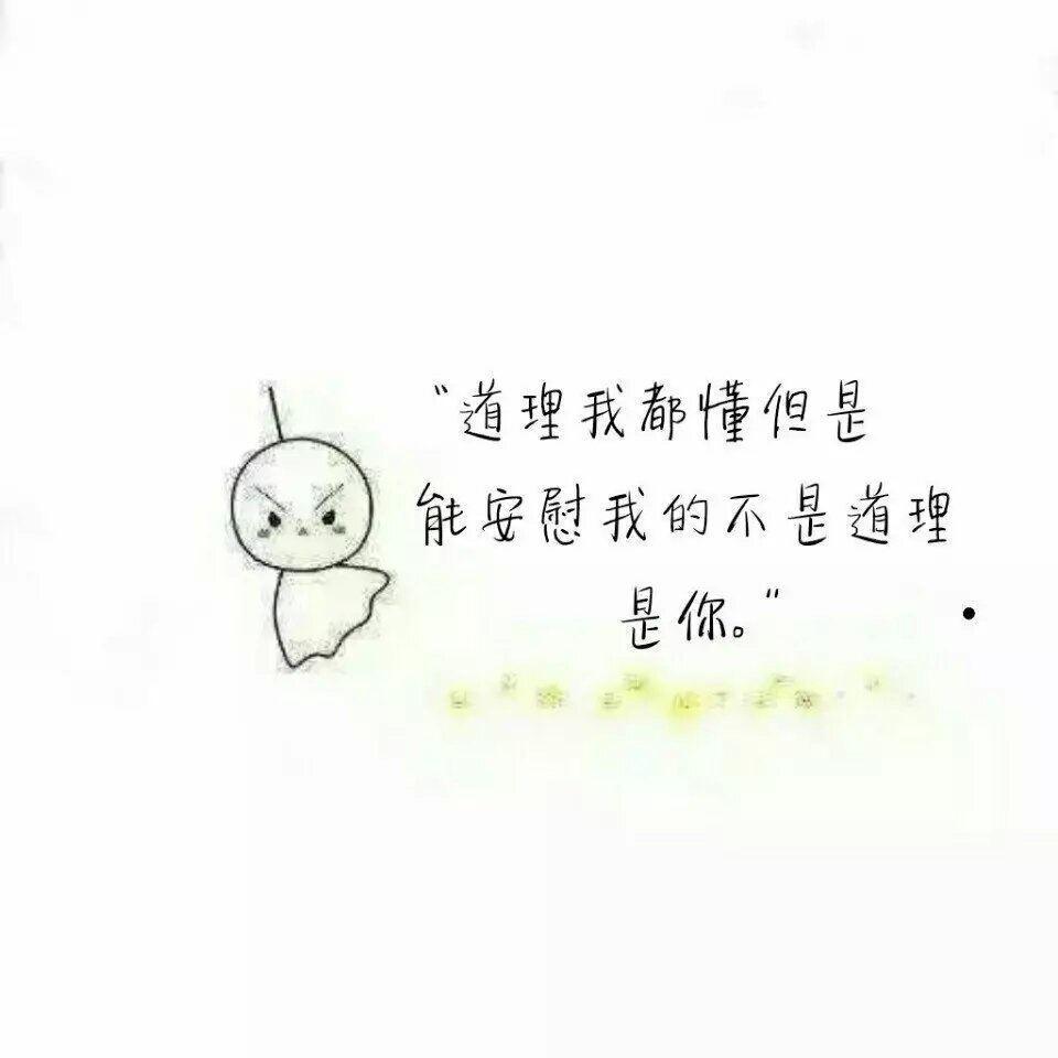 道理我都懂