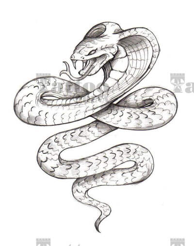 衔尾蛇纹身图片手稿图片
