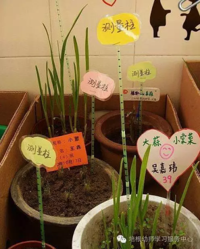 植物角测量工具图片