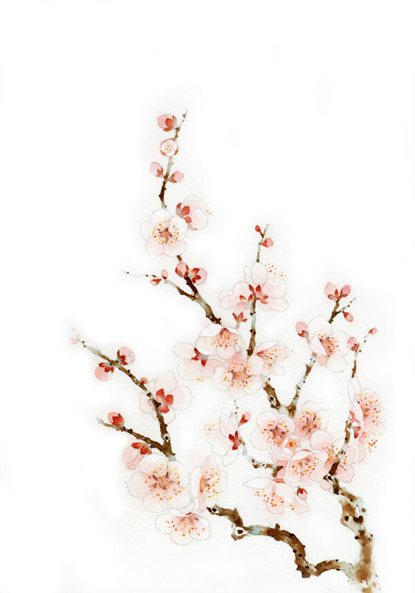 古风花草系