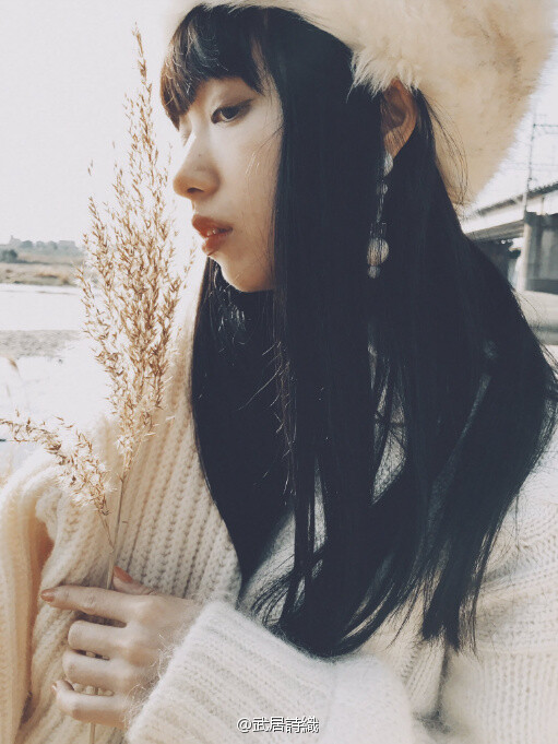 堆糖,美图壁纸兴趣社区