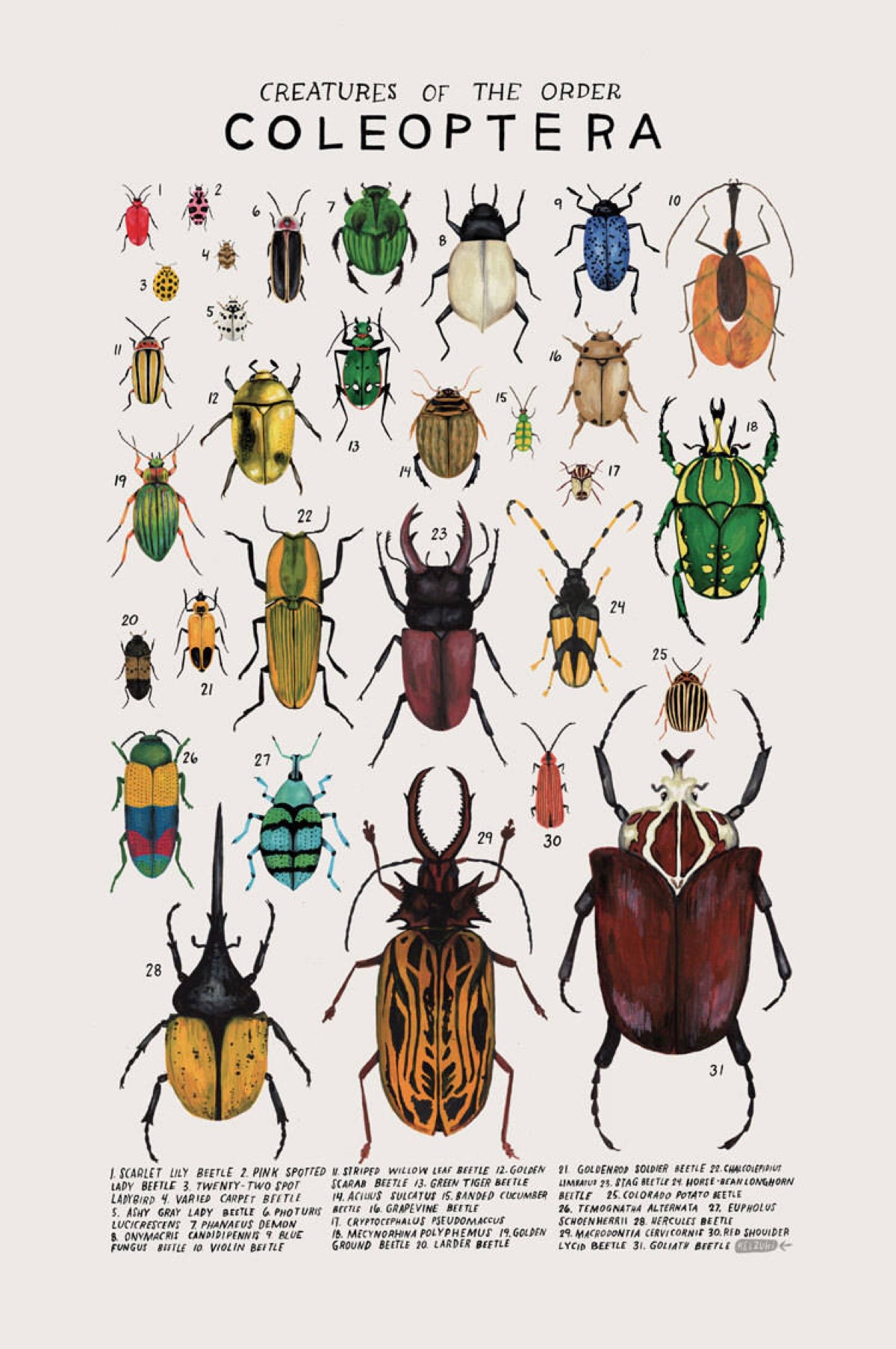mhr甲虫种素材图片