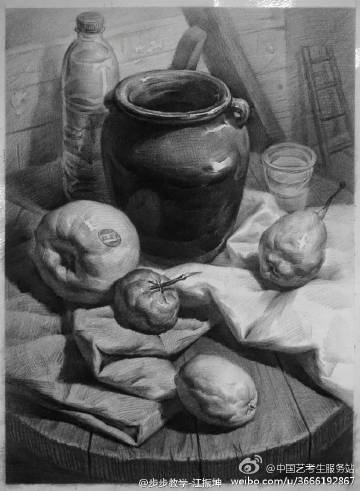 素描静物临摹初级