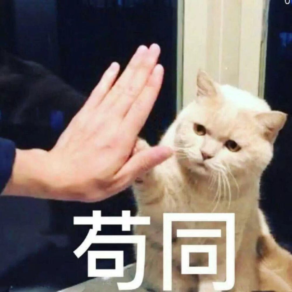 猫猫表情包 可爱 斗图应答