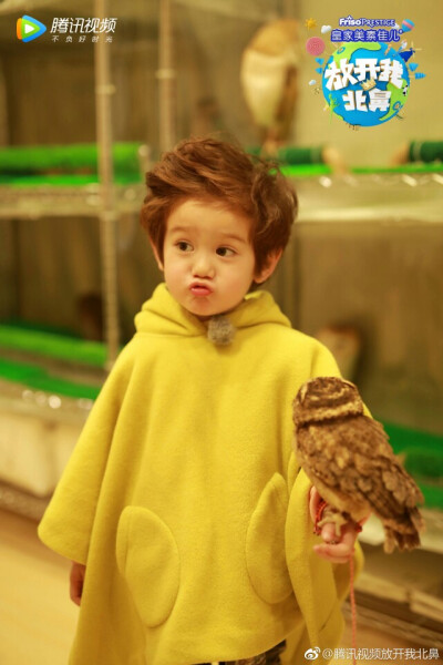 收集   点赞  评论  马天宇 0 17 绿略略  发布到  萌娃 图片评论 0