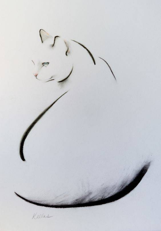 简笔画 大师的练习 猫