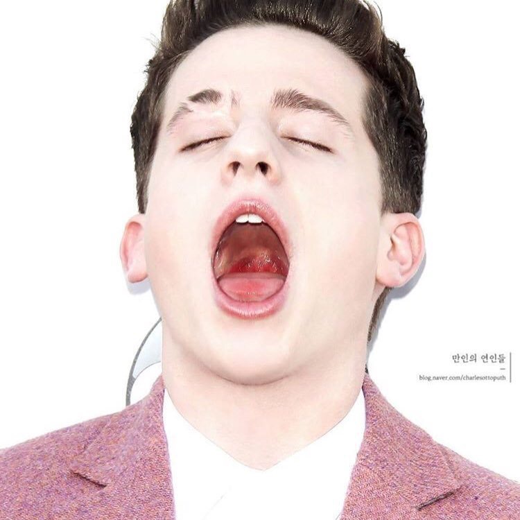 查理普斯charlieputh