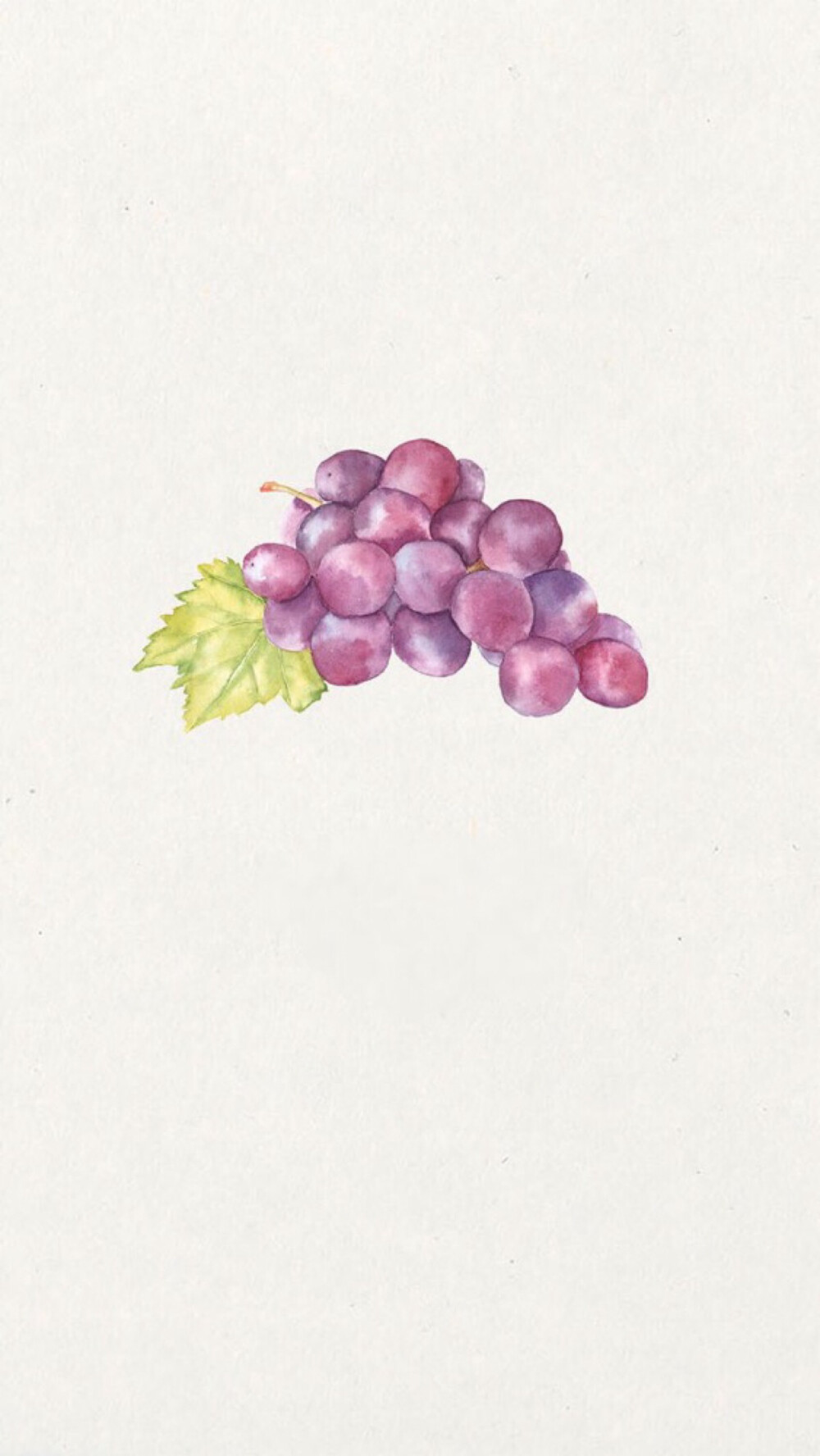 葡萄背景图可爱图片