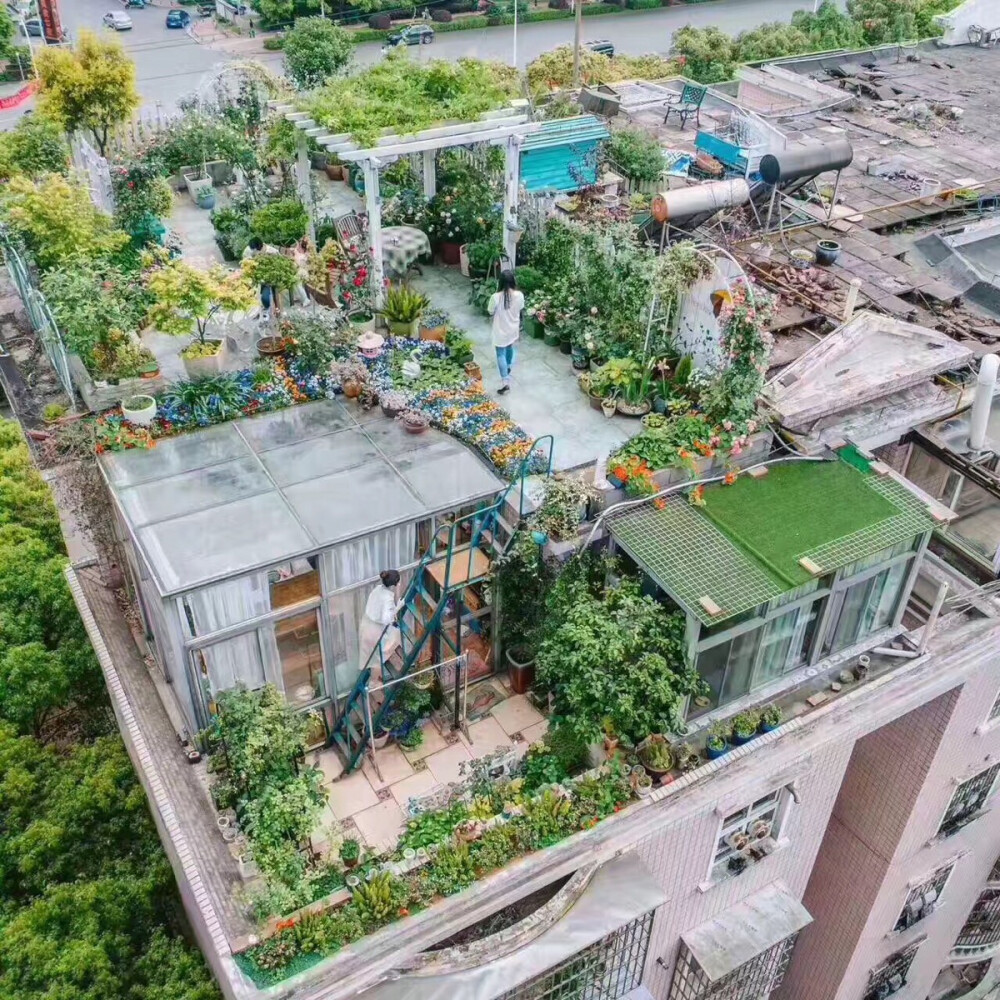 顶楼- 堆糖,美图壁纸兴趣社区