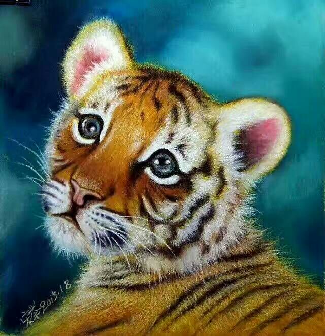 小老虎