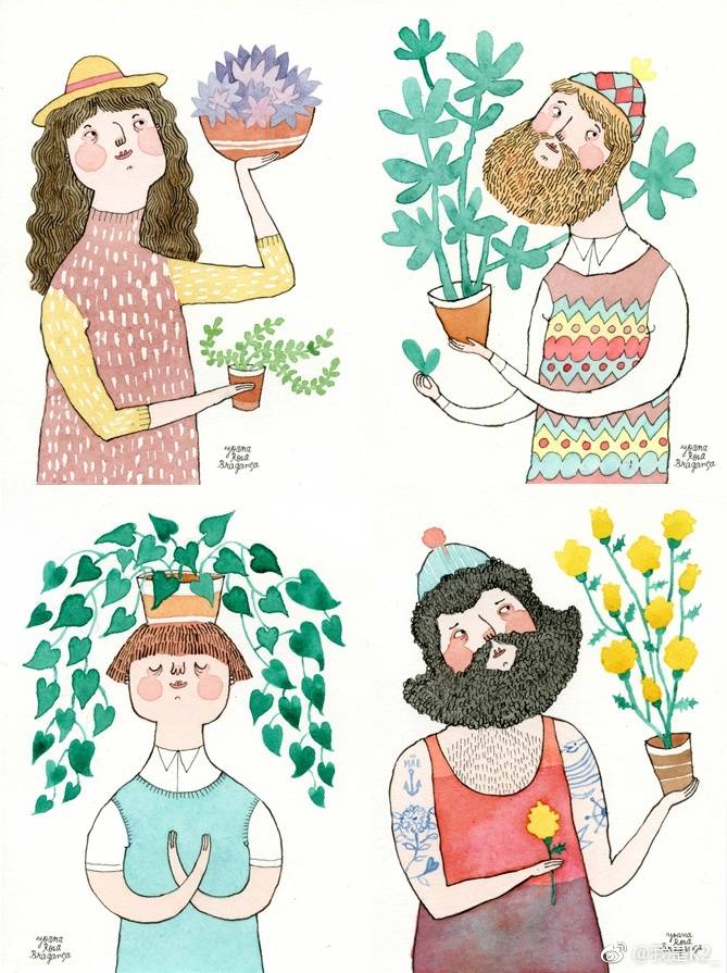 手绘 小清新 插画