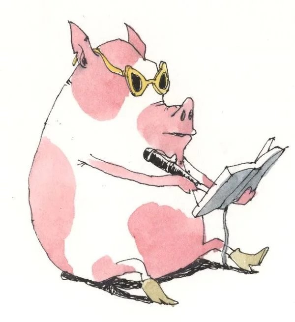 爱学习的猪