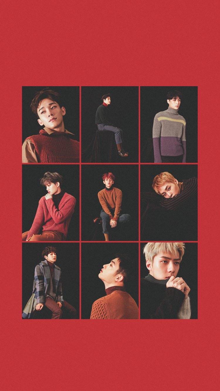 守护金珉锡 xiumin 1990.03.26 金俊勉 su ho 1991.05.