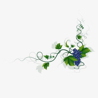 葡萄藤画