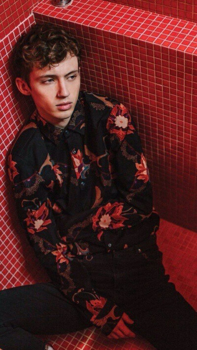 troye sivan[戳爷][头像][壁纸][动图]