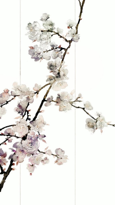 水墨·花枝