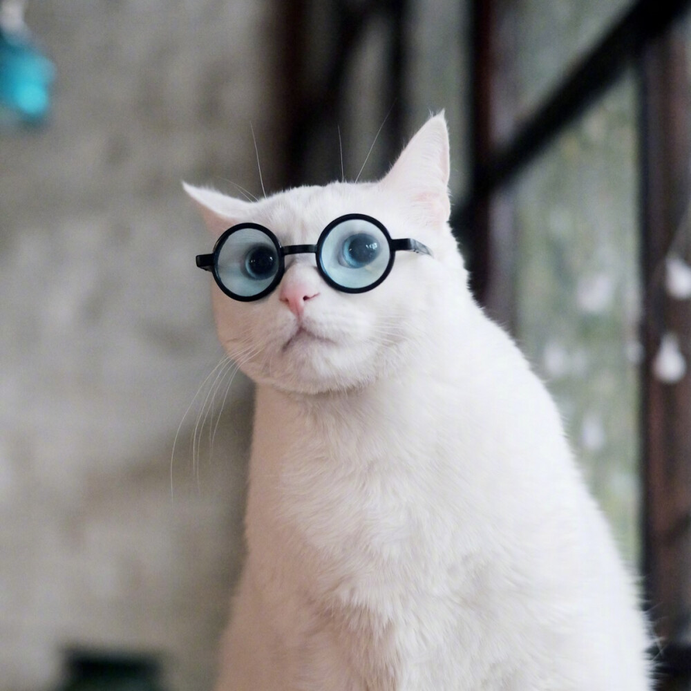 搞怪头像皮皮珍