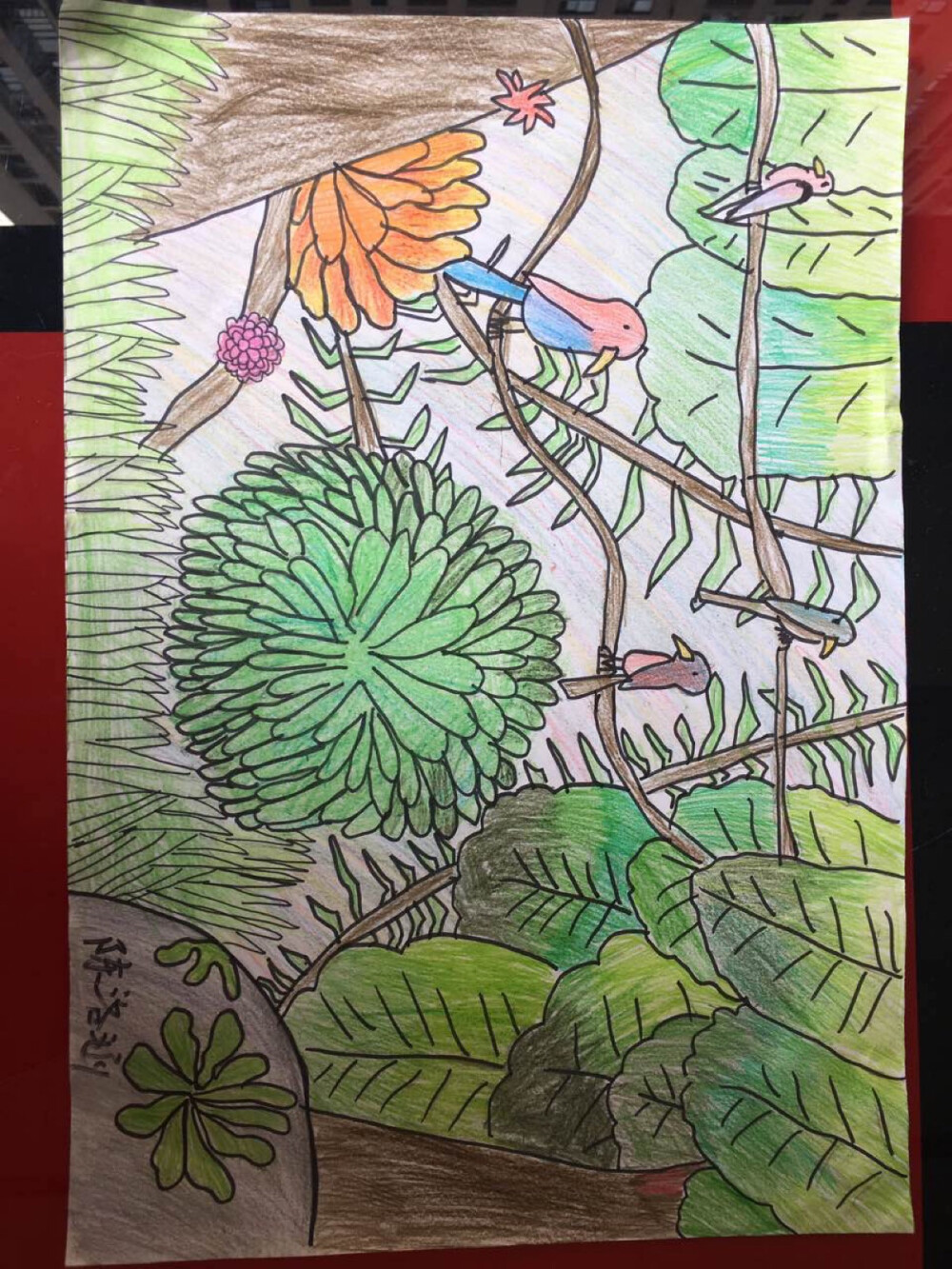 儿童画热带雨林
