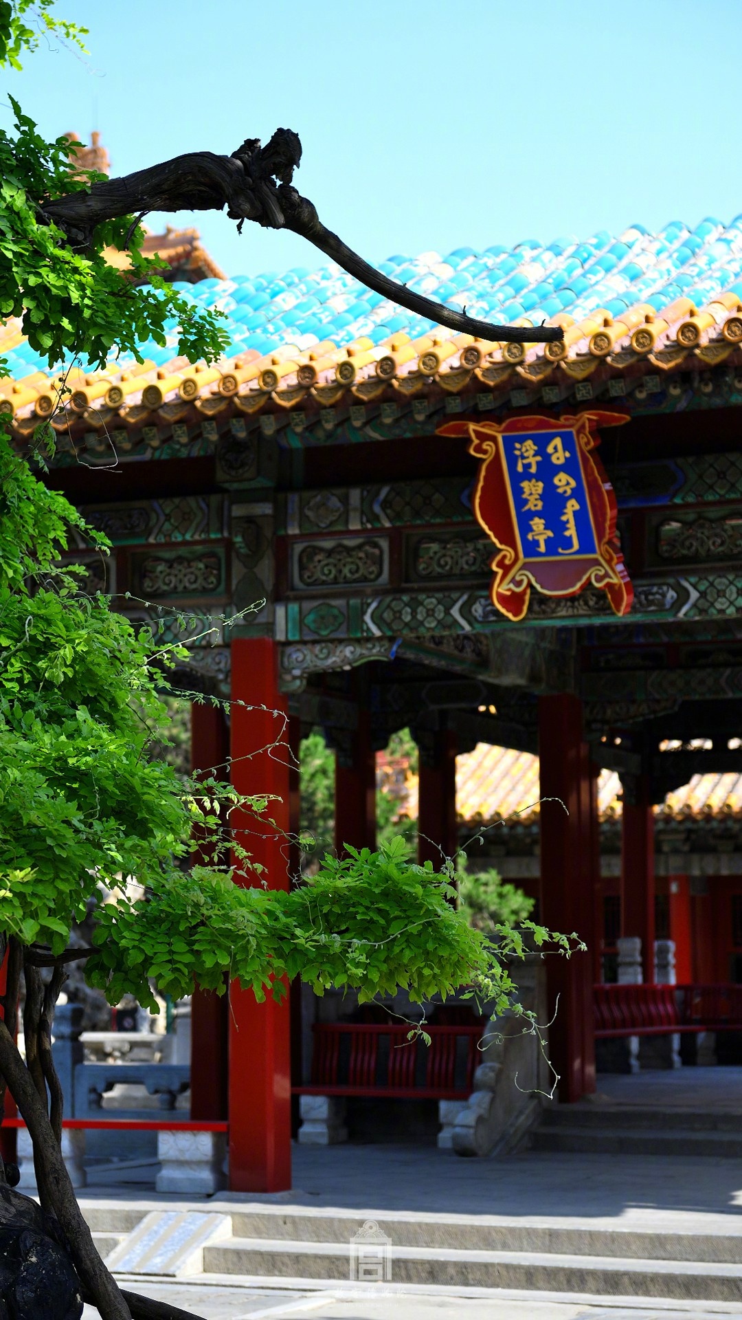 紫禁城【丁酉浮碧亭】"碧浮春盖,漾晴漪,渐妆点亭台,参差佳树" 照片取