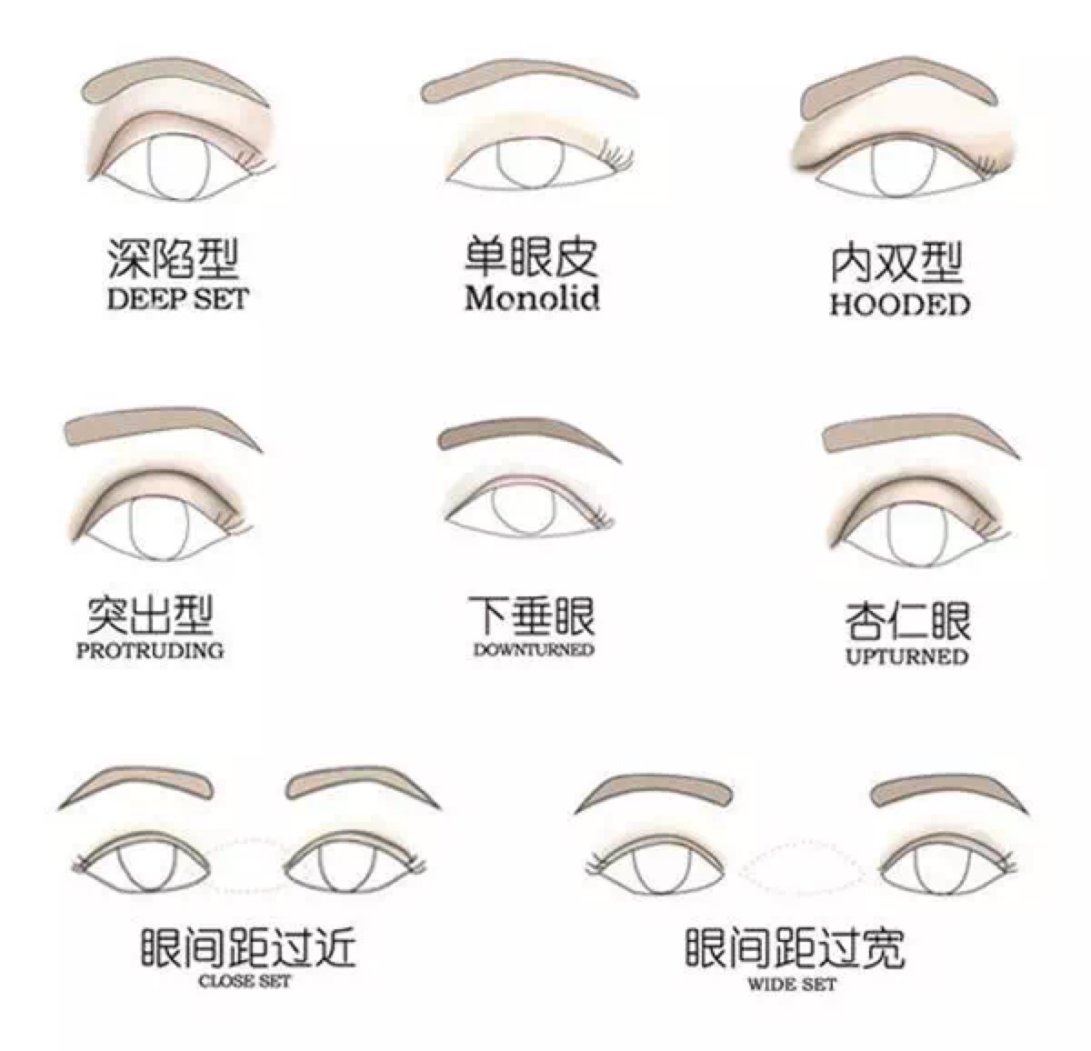 不同眼睛类型 眼影该怎么画