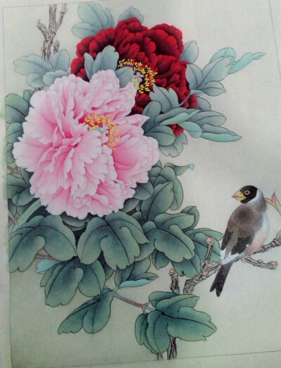 工笔花鸟线稿 堆糖,美图壁纸兴趣社区