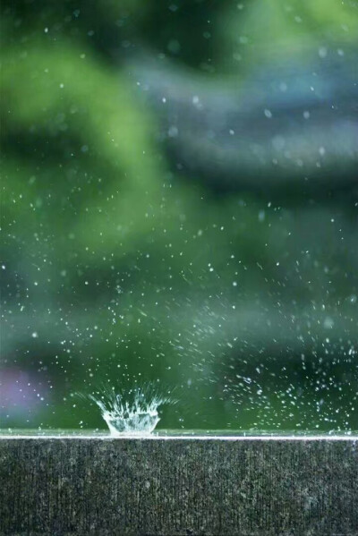 雨的图片意境图片