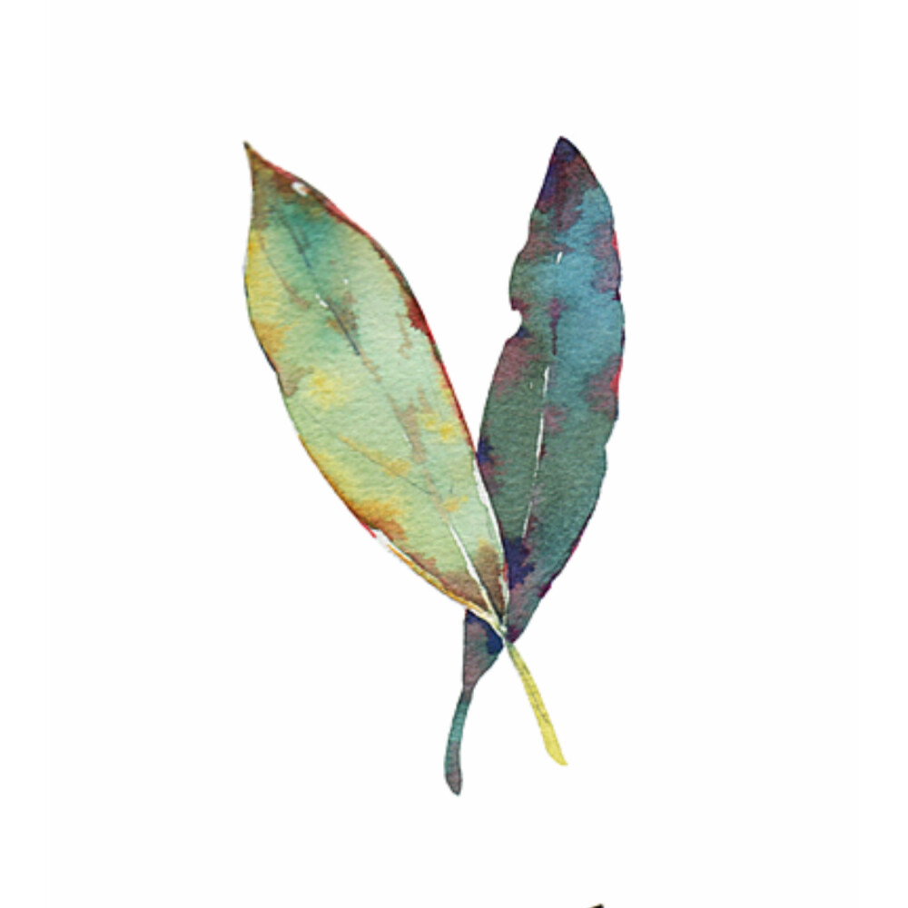 小清新 树叶 绿色 水彩 植物 插画