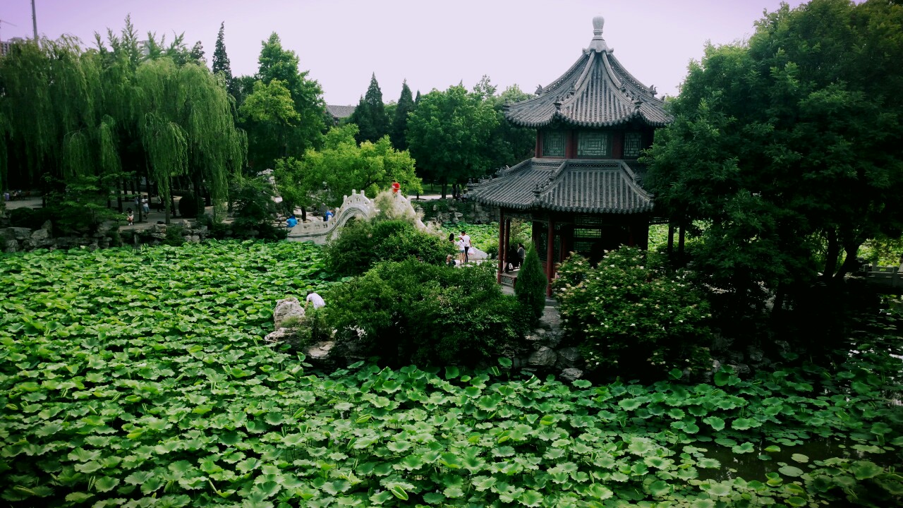 河北保定古莲花池