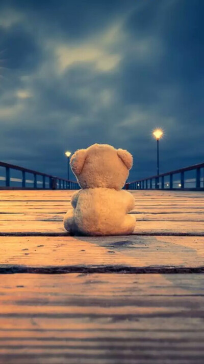 孤单的小熊背影图片图片