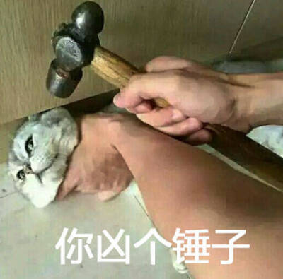 超凶 表情包