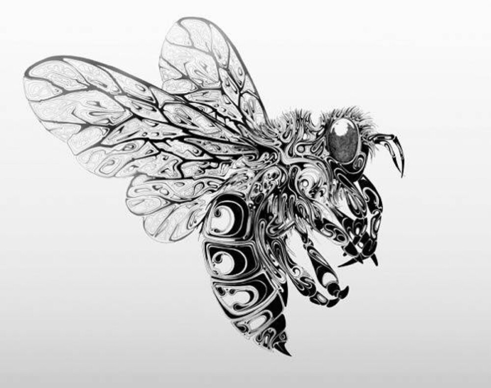 手绘动物唯美线条