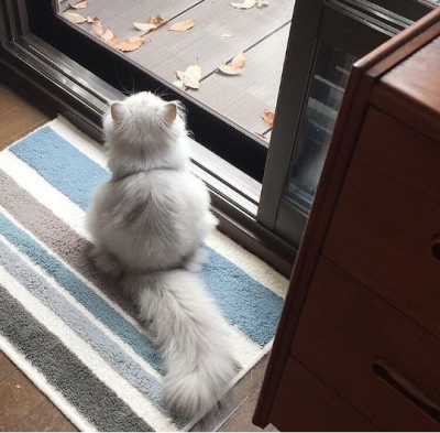 孤独的背影简笔画