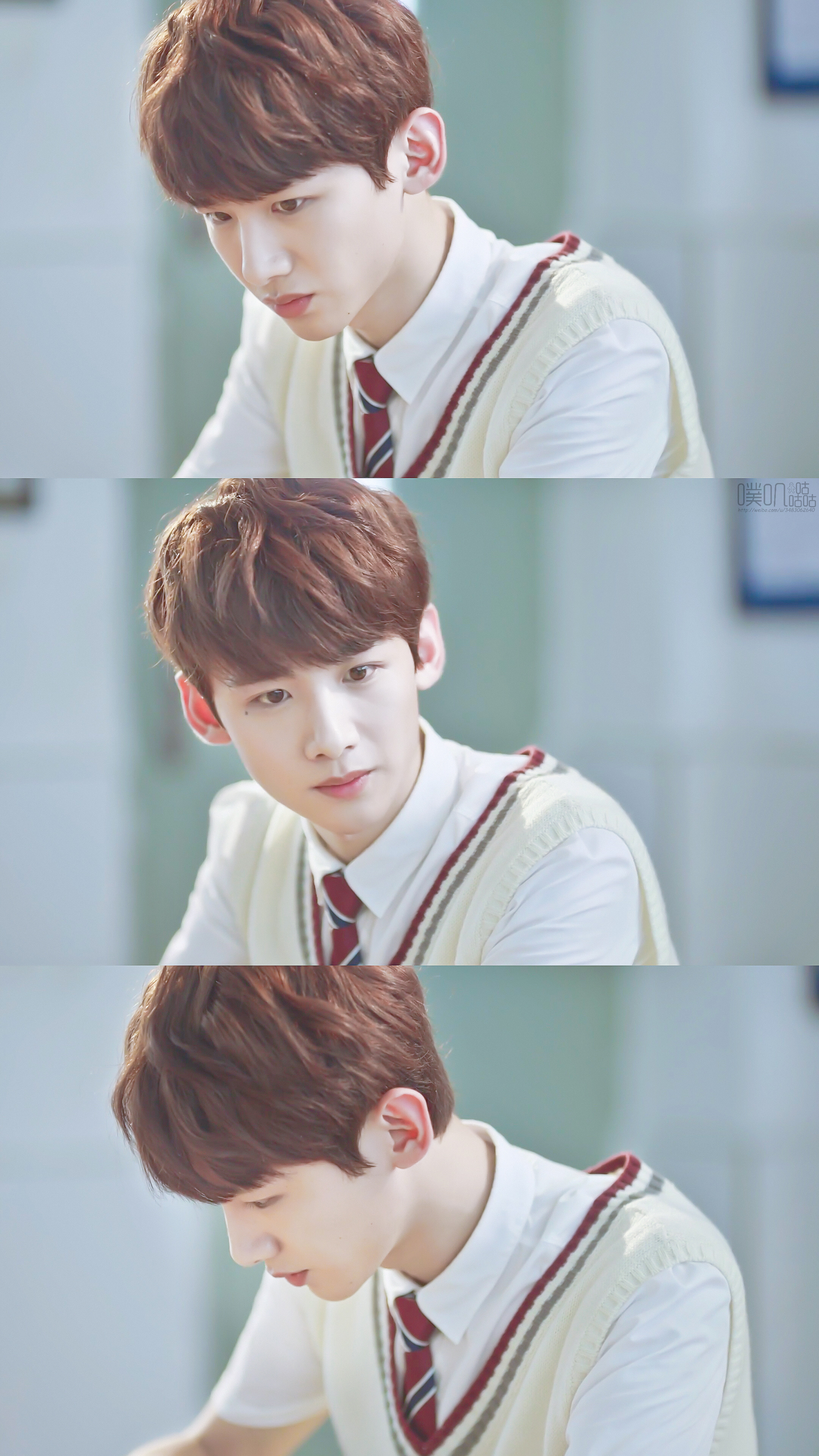 白敬亭 陆之昂 小白