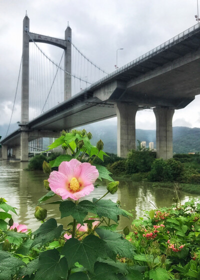 花海公园