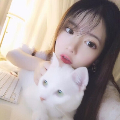 陈秋の气质软妹女生头像 女头 我也想养猫啊 可爱
