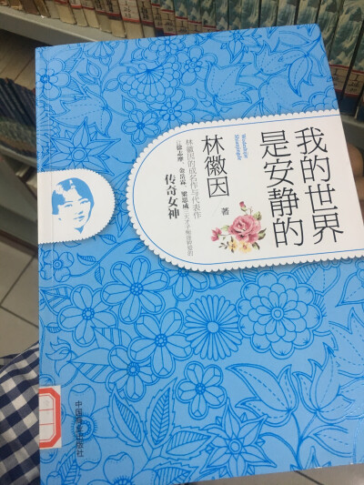 我的世界没了安静