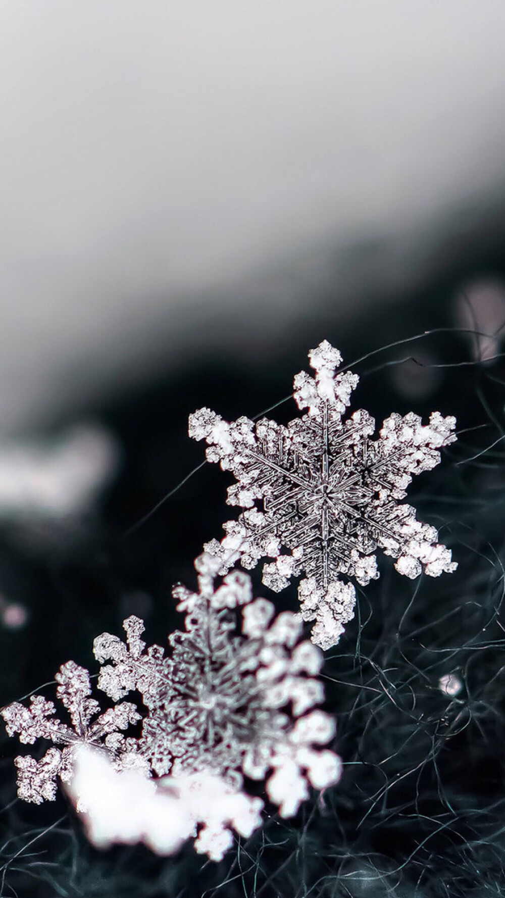 雪花图片美图大全图片