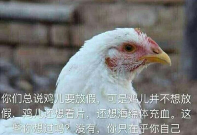 动图表情包搞笑