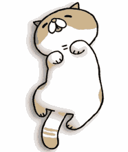 猫猫 动图微信表情 qq表情