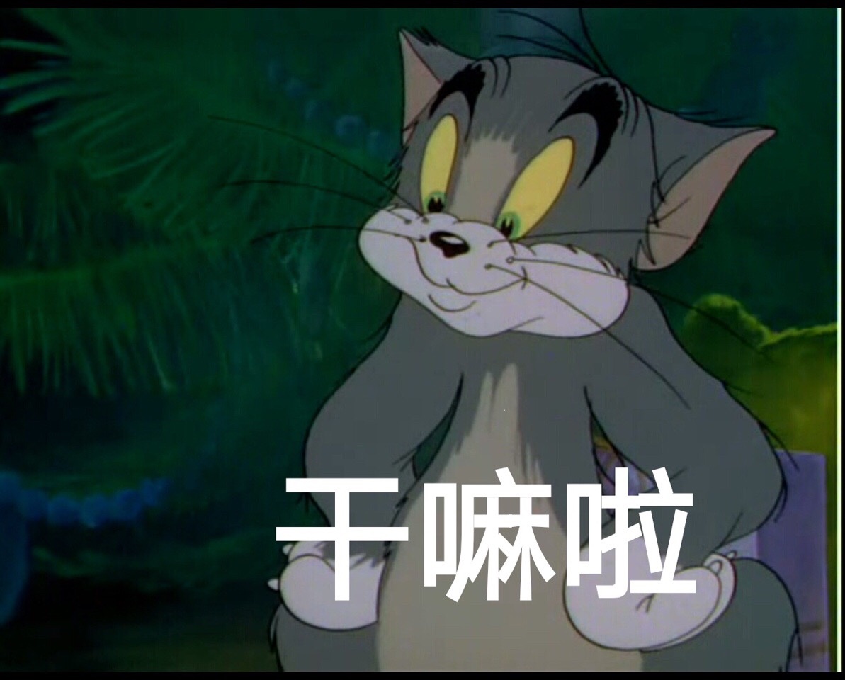 猫和老鼠 无水印 表情包