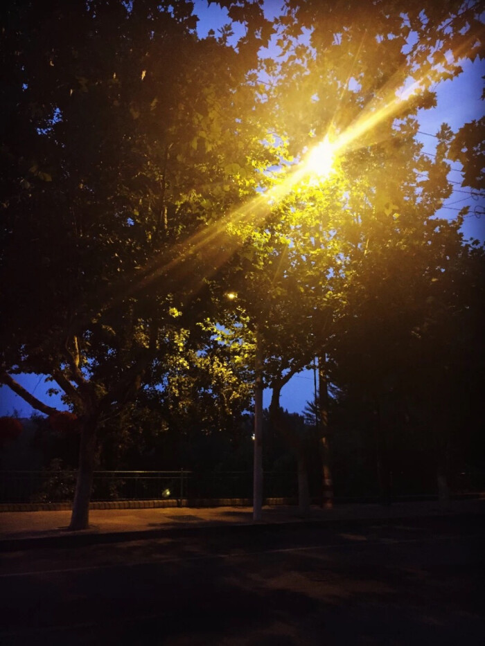 你也和我一样吧,总是天亮了才睡,醉酒了才哭,在路灯熄灭后才走上回家