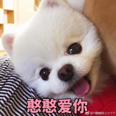 鹿犬表情包图片