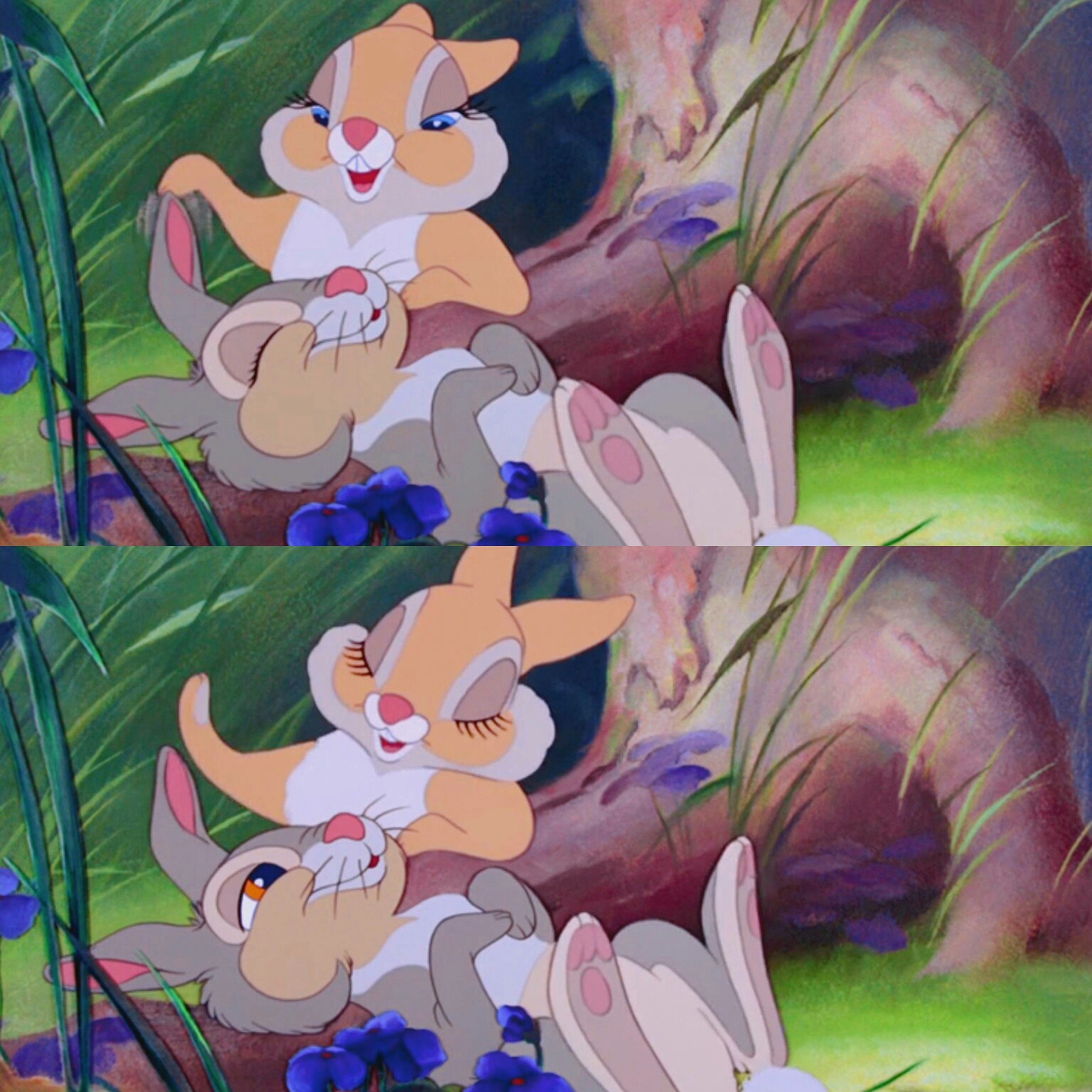 小鹿斑比里的兔子情侣图片