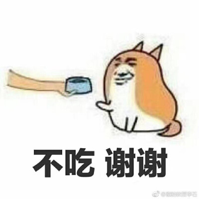 不吃狗粮表情包